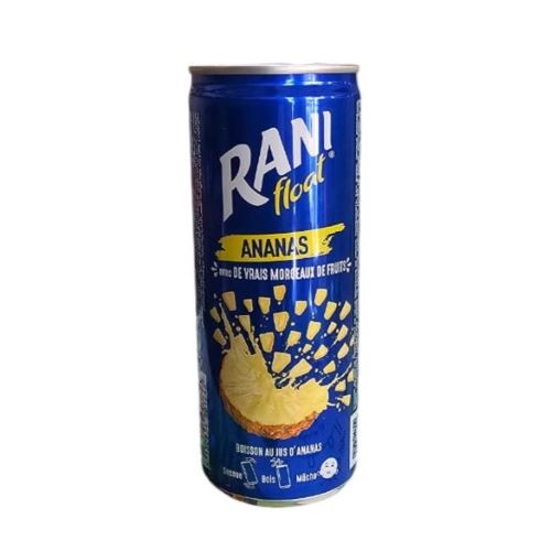 Rani Float Ananas 24cl