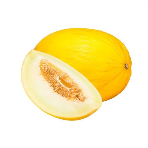 Melon